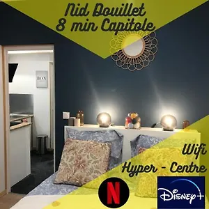 Nid Douillet - 8 Min Capitole Apartamento Toulouse
